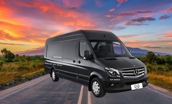 Sprinter Van